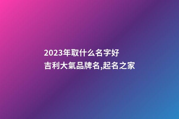 2023年取什么名字好 吉利大氣品牌名,起名之家-第1張-商標(biāo)起名-玄機(jī)派